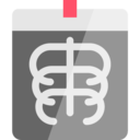 medical,bones,skeleton,x rays